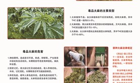 禁毒宣传图片二