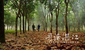 广东农垦工会摄影班学院前往各农场采风