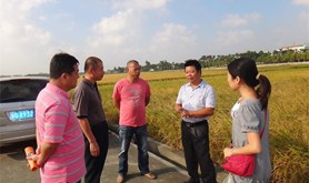市总工会、市技师学院驻麻俸村扶贫工作组和村干部到林屋村取经