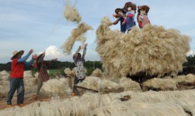 湛江市总工会举办的职工摄影比赛评选揭晓