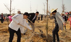 湛江市总工会积极参加我市大型义务植树活动
