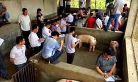 廉江：食品公司举办职工“五一”劳动技能比赛