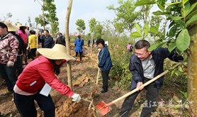 市总工会积极参加义务植树活动