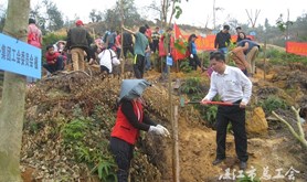 湛江市水务集团工会参加植树活动