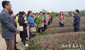 湛江市总工会女职委开展庆“三八”活动