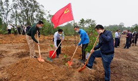 拥抱春天 播种绿色|湛江市总工会开展义务植树活动
