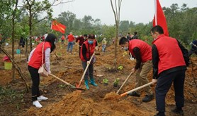 湛江市财政局参加义务植树活动