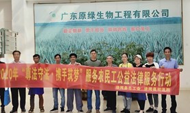 徐闻县总工会开展“尊法守法·携手筑梦”主题宣传活动