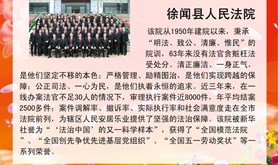湛江电视台劳模风采报道－－徐闻县人民法院代表