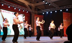 广东省农工商职业技术学校排舞队