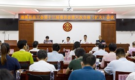 遂溪县总工会召开第十三届委员会第六次全体（扩大）会议