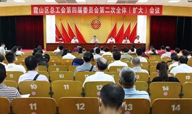 霞山区总工会召开第四届委员会第二次全体（扩大）会议