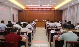 雷林公司召开第十五届职工代表大会第七次会议