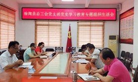 徐闻县总工会党支部召开党史学习教育专题组织生活会