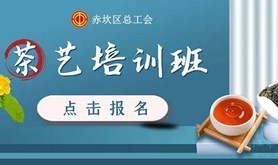 “娘家人”福利又来了！赤坎工会职工茶艺培训班开班啦~