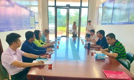 湛江市总工会副主席黄蕙洁一行到吴川市开展维权帮扶调研工作