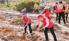 植树造林添新绿，文明创建增活力