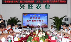 廉江市总工会组织开展“中国梦·劳动美”廉江市各级劳模、工匠、技术能手交流学习座谈会