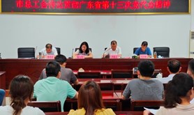 雷州市总工会召开会议传达贯彻广东省第十三次党代会精神