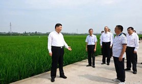 习近平再赴四川考察，在眉山重点关注了什么？