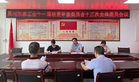 吴川市总工会召开第十一届经费审查委员会第十三次全体会议