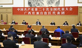 习近平参加党的二十大广西代表团讨论