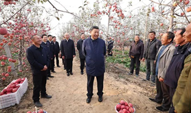 农业现代化这根“金扁担” 总书记念兹在兹