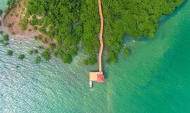 大力弘扬红树林精神 团结奋斗书写湛江美好未来