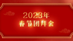 中共中央国务院举行春节团拜会 习近平发表讲话