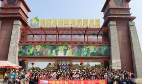 中国电信湛江分公司开展“翼.阳光”魅丽女工庆“三八”活动