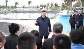 总书记四次考察广东蕴含深意