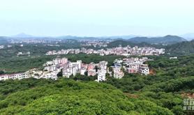 广东考察第二天，习近平重点聚焦这个村