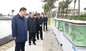 总书记湛江看“海”，关切这些“国之大者”