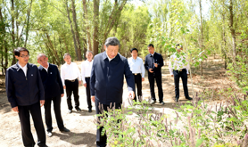 构筑“万里绿色长城”，总书记念兹在兹