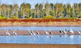 书写美丽中国新画卷——习近平总书记引领生态文明建设的故事