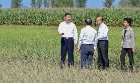 习近平在黑龙江尚志市看望慰问受灾群众