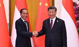 习近平同印度尼西亚总统佐科会谈