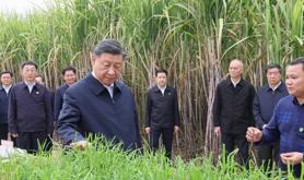 习近平在广西来宾市考察调研