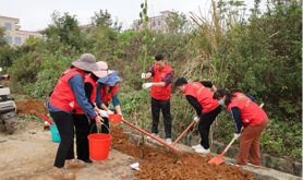 海滨街道工会开展“党建引领聚合力 助力‘百千万工程’绿美乡村建设” 植树活动