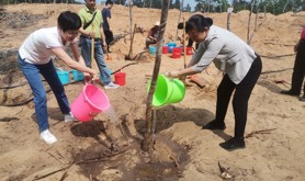 徐闻总工会组织劳模开展“我为家乡种棵树”植树活动
