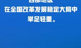 习近平：进一步形成大保护、大开放、高质量发展新格局