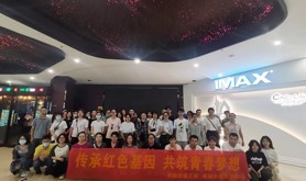 霞山区新园街道工会联合团工委组织职工开展“传承红色基因，共筑青春梦想”观影活动