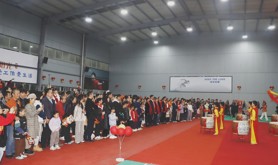 中国电信湛江分公司举办“2025年翼起向未来”元宵游园晚会