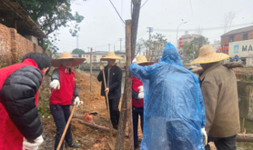 霞山区总工会开展2025年乡村绿化植树活动