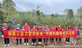 遂溪县总工会开展乡村绿化植树活动
