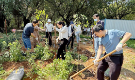 广东医科大学药学院工会分会开展药苗种植主题活动