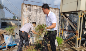 湛汽集团开展爱国卫生统一行动筑牢防疫健康