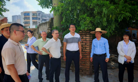 湛汽集团领导深入基层一线督导蚊媒传染病防控工作