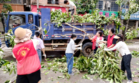 霞山区建新社区工会驿站开展台风灾后恢复行动