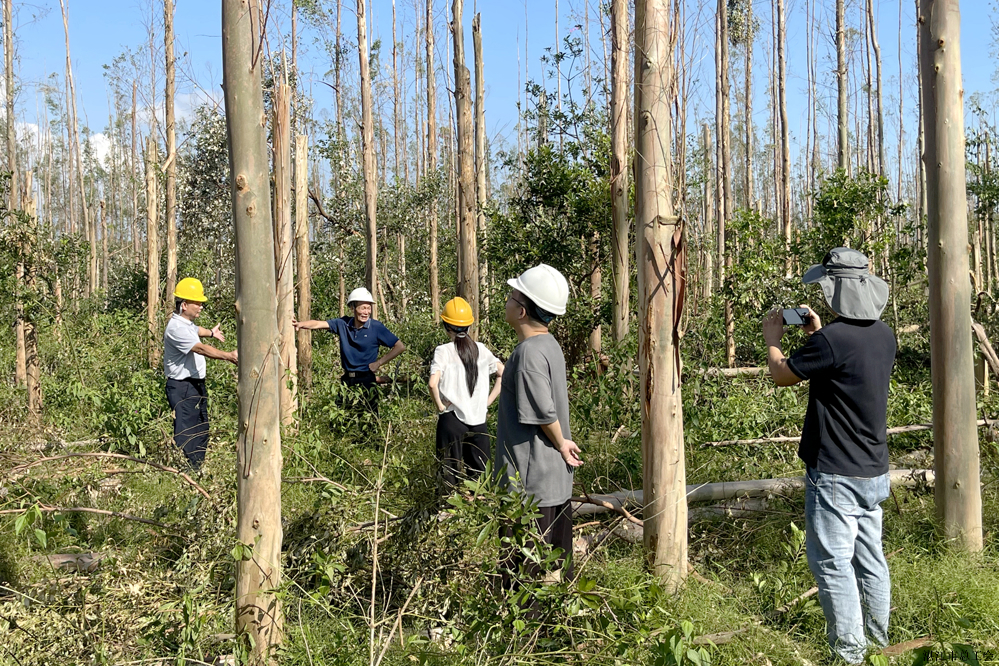 9e9abbad30eb4637b6f2bc329063d37a.jpg 9e9abbad30eb4637b6f2bc329063d37a.jpg